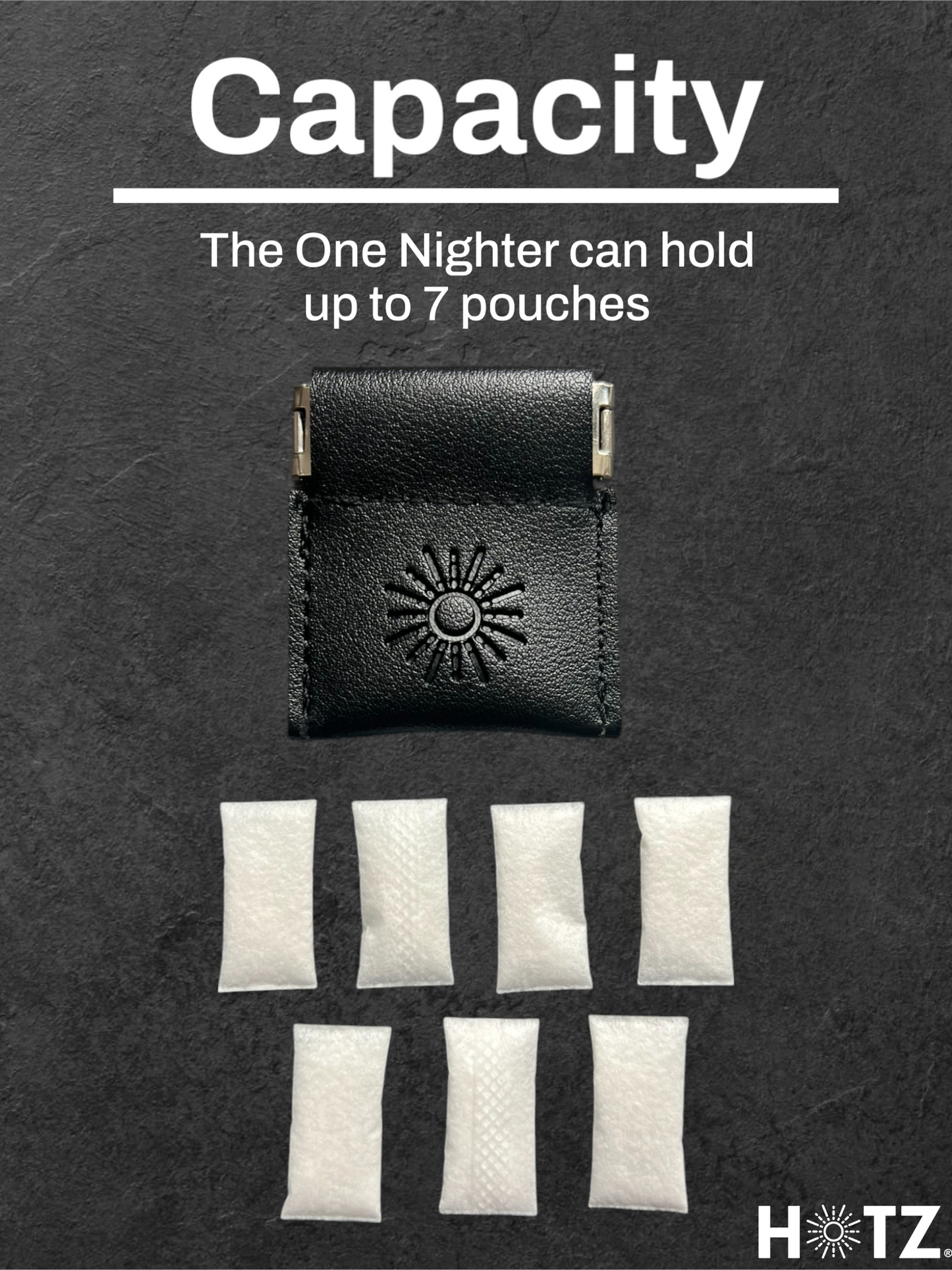 Zyn Pouch Holder – Slim, Discreet 2-Pack for Zyn, Nectr, Snus | Great Gift for Him