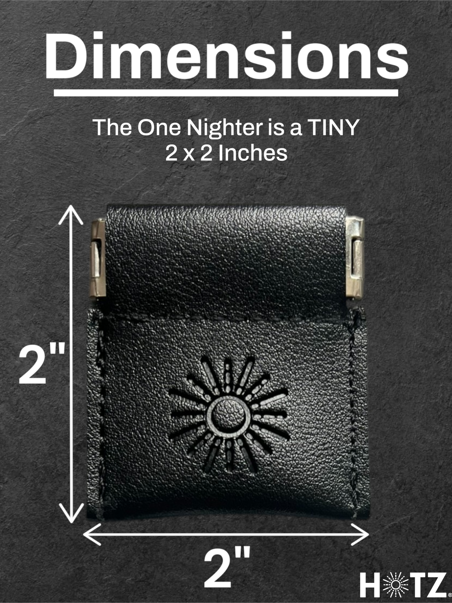 Zyn Pouch Holder – Slim, Discreet 2-Pack for Zyn, Nectr, Snus | Great Gift for Him